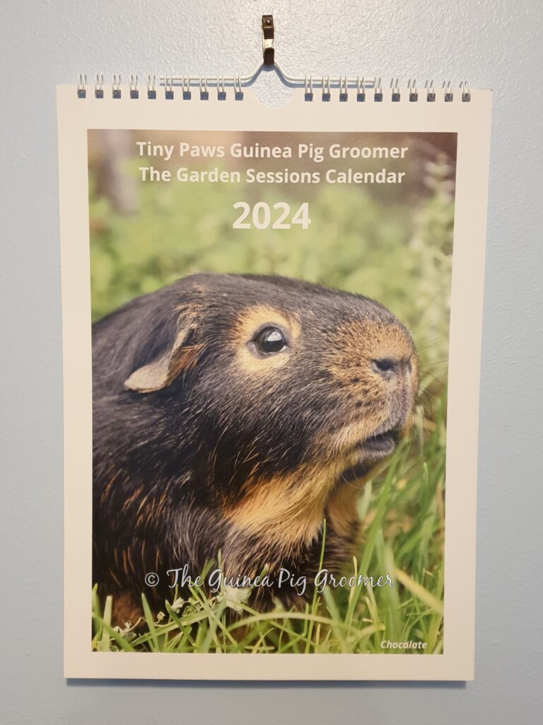Tiny Paws Calendar 2024